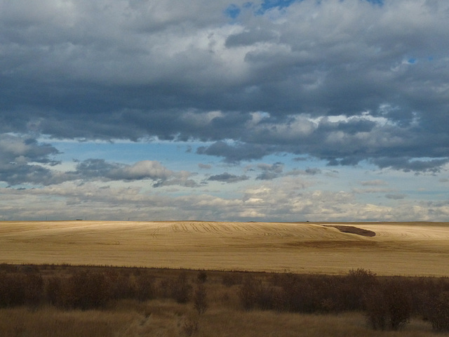 Prairie skies