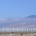 Wind Turbines, Palm Springs (2552a)