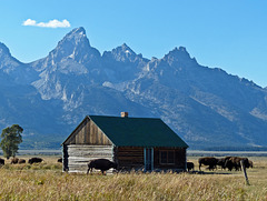The scenic charm of the Grand Tetons
