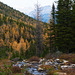 Fall in the Rockies