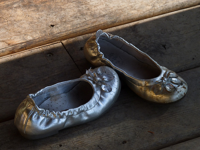 Silver slippers for a princess