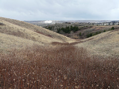 12 Mile Coulee