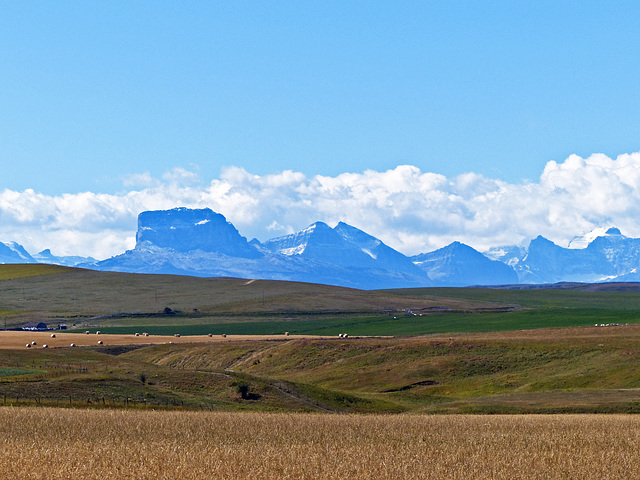 Scenery near the Alberta/Montana border