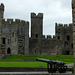 Castell Caernarfon/Caernarfon Castle (11) - 30 June 2013