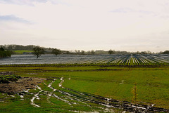 Sodden Staffordshire fields, Haughton