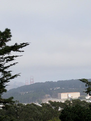 SF Golden Gate Park Strawberry Hill 3432a