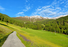 Fendels, Tyrol June 2013