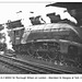 LNER A4 4-6-2 6002 Sir Morrough Wilson - York - 14.6.1952