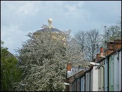 spring view from Victor Street