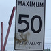 Inuit speed limit / Limite de vitesse Inuit.