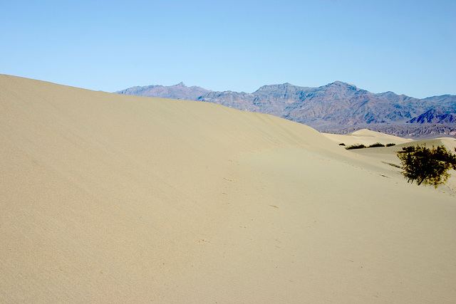 Sand Dunes, Death Valley