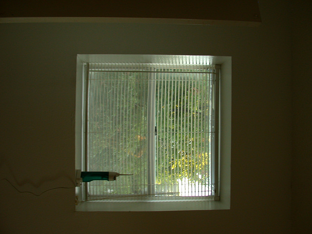 1st apartment - window
