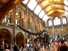Natural History Museum - London