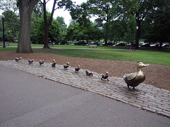 Duckling Sculpture in the Public Garden in Boston, July 2011