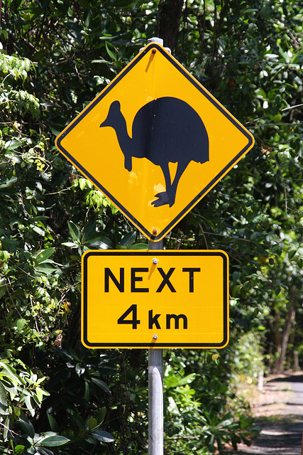 Signs of the Cassowary III - Street signs