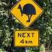Signs of the Cassowary III - Street signs