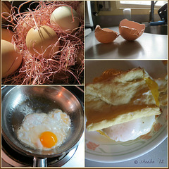 Eggs -