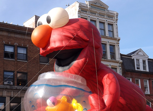 Elmo and Dorothy the Goldfish at the Stamford Balloon Parade, November 2012