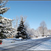 Spring snow ~ Image from the driveway
