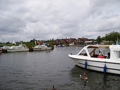 WR (O&A) - Arriving at Horning