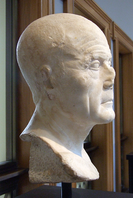Head of an Old Man in the Getty Villa, July 2008