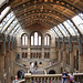 Natural History Museum: Entrance Hall