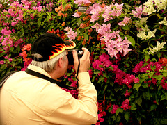 Hampton Court Flower Show Digilux 2 Photographer
