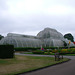 Kew Gardens: greenhouse