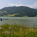 Le lac de Sihl (Schwytz)...
