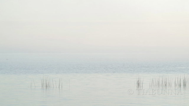 Foggy dawn, Lake Albert
