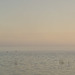Daybreak, Lake Albert