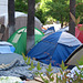 Occupy Los Angeles 1392a