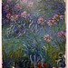 Agapanthus by Monet in the Museum of Modern Art, August 2007