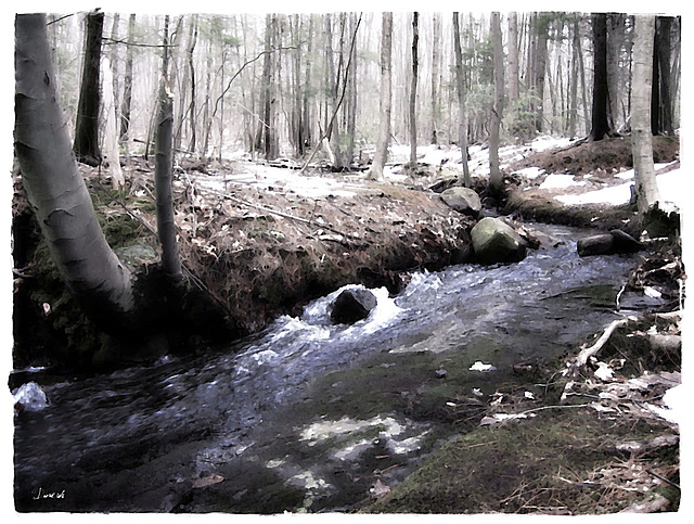 Gravelly Run Gravelly Run