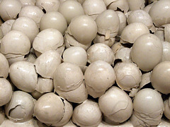 Detail of the Eggs in White Cabinet and White Table by Broodthaers in the Museum of Modern Art, August 2007