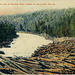 4116. Rapids and Lumber Jam on Montreal River, Ontario, on line of Can. Pac. Ry.