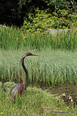 Pond Garden Heron - detail