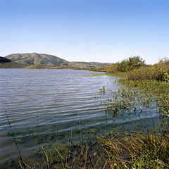 Lake Nicasio