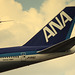All Nippon Airways (ANA) Boeing 747-200 tail section