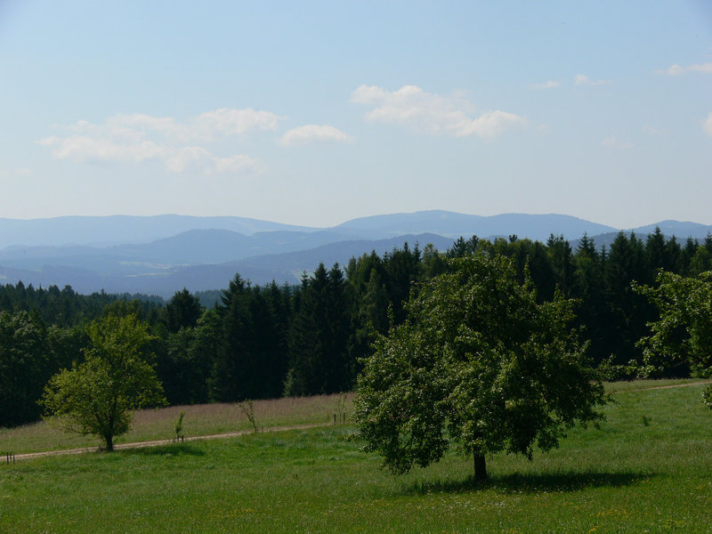 Schöner bayrischer Wald