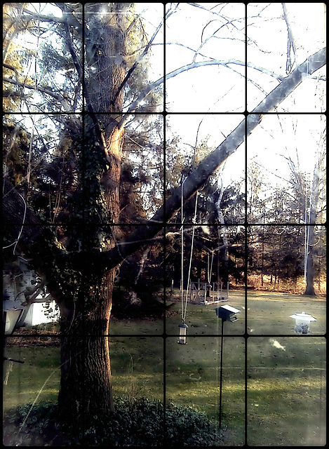 Window tree