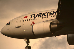 Turkish Airlines (THY) Airbus A310