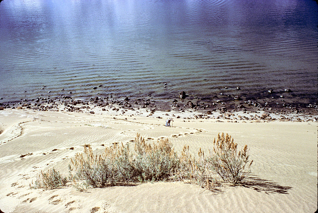 16-shoreline_dune_adj