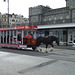 Isle of Man 2013 – Albert pulling tram № 43
