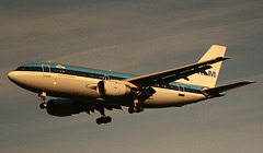 KLM Airbus A310