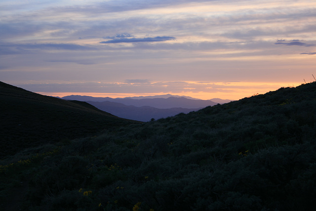 IMG_7633 IMG_7633