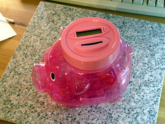 Counting Piggy Bank
