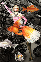 a woman needs a fish (bicycle 1)