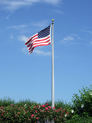 Flag in Jones Beach, July 2010