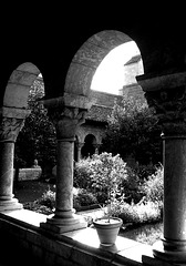 The Cuxa Cloister in the Cloisters, Sept. 2007